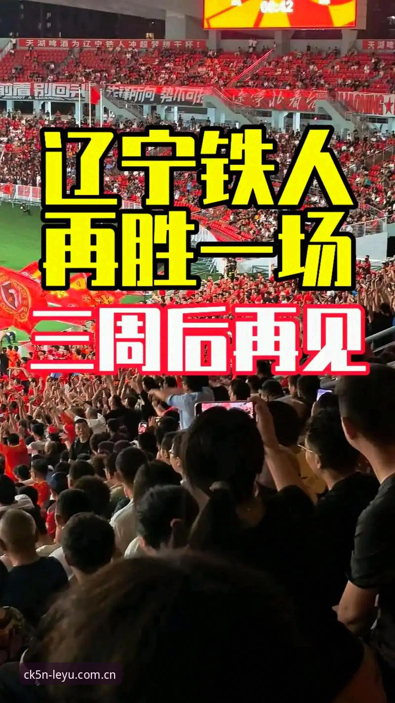 间歇期看懂辽宁铁人变阵的实用指南——从瓦吉奇离队到三中卫体系